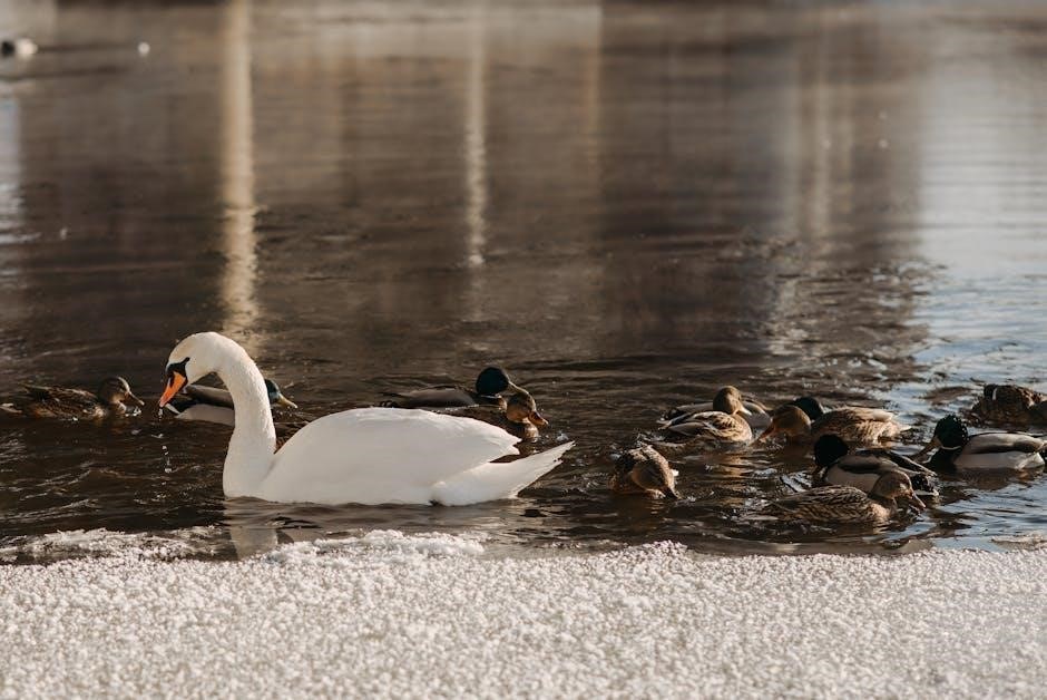 pexels-photo-6716260